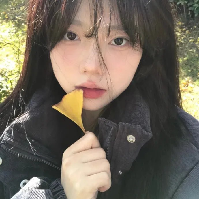 憨媳当家