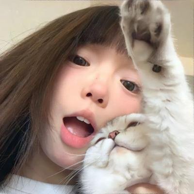 大唐迷雾
